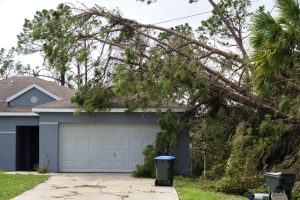 Storm Damage Restoration Services Bonita Springs, FL