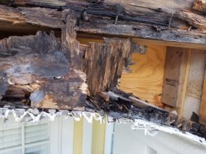 Building, Window & Roof Leak Detection & Repair Naples, FL