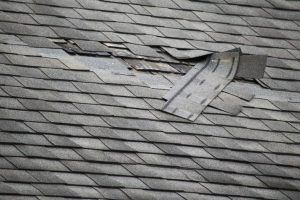 Window & Roof Leak Repair Services in Naples, FL