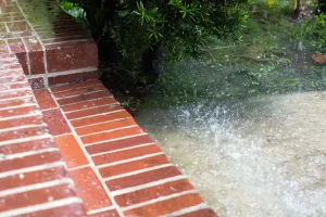 What’s the Best Way to Fix Poor Yard Drainage?